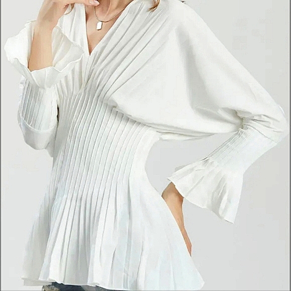 D.H. GATE Pleated Long Sleeve Blouse - Picture 5 of 8